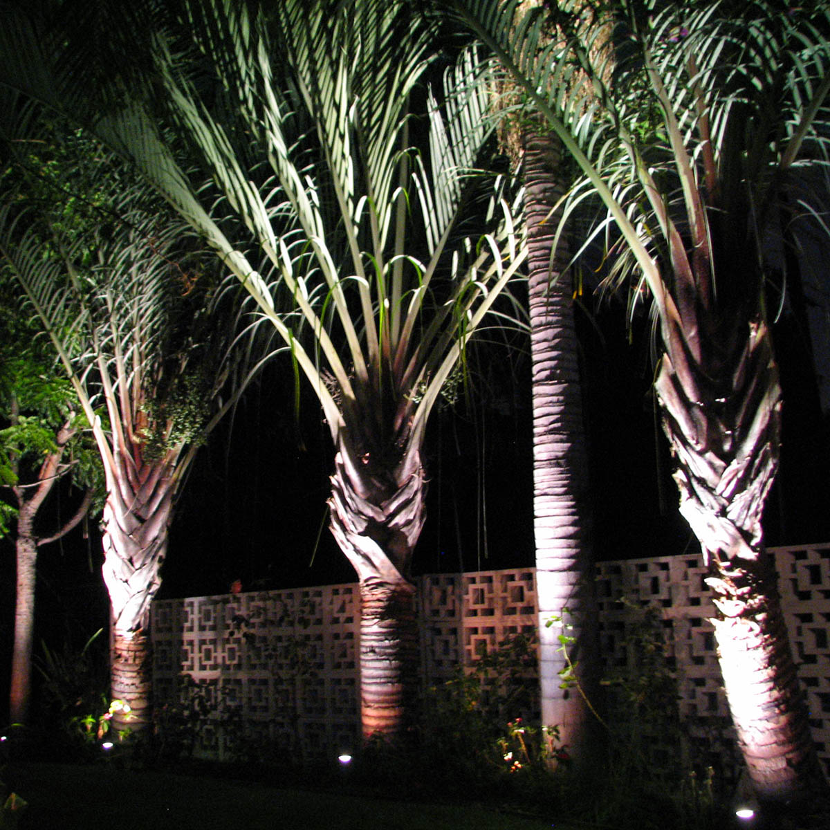 Directionals - Kenneth Road Triangle Palms about us exterior lighting