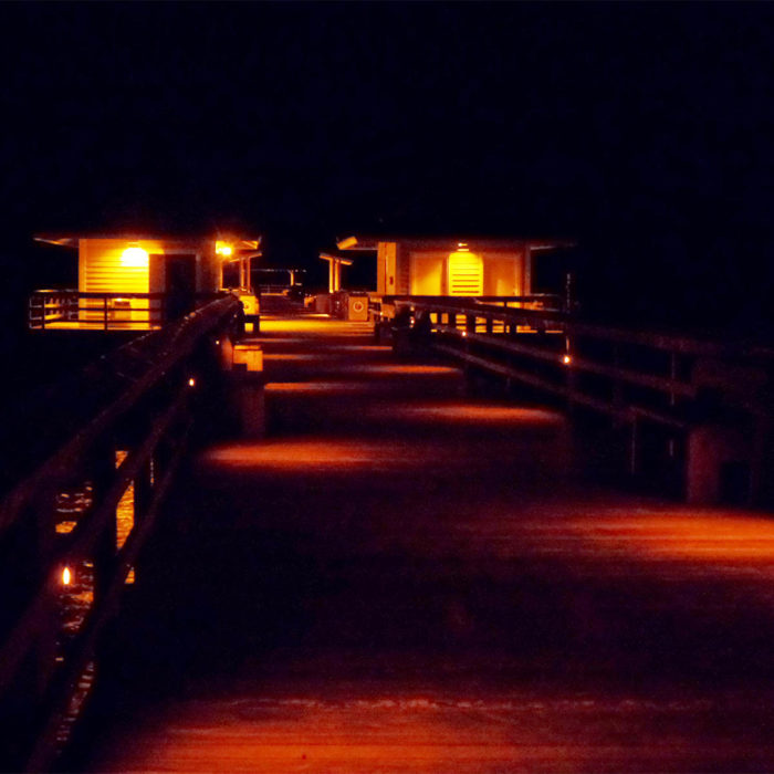 E9-RL-Amber-Steplights