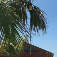 L-011-P-H (12V MR16 LED) - Beachside Lighting Honolulu