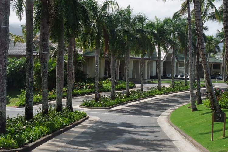 Nontraditional Driveway Illumination exterior lighting gallery