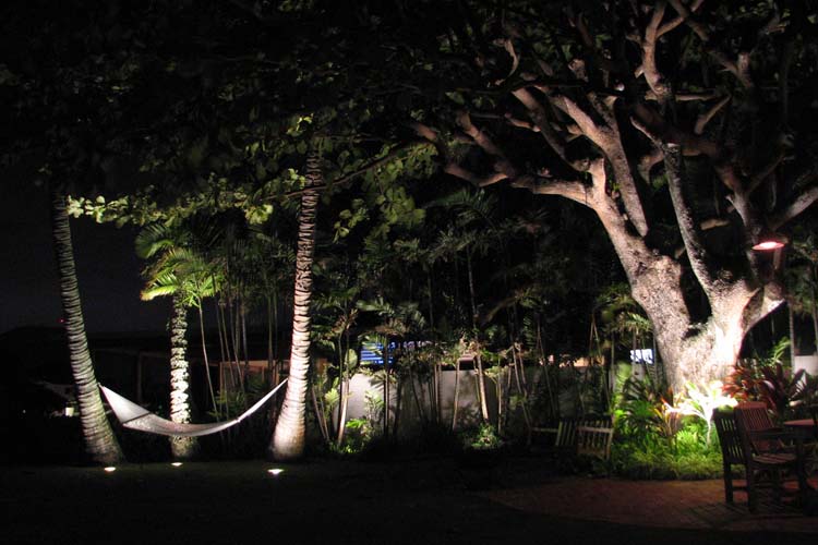 Tree downlighting shop