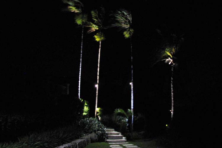 Ground Mounted L-011-led Fixtures exterior lighting gallery