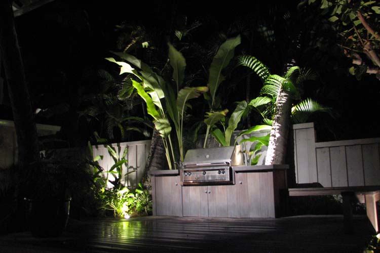 Tree-mounted L-011 Downlight exterior lighting gallery
