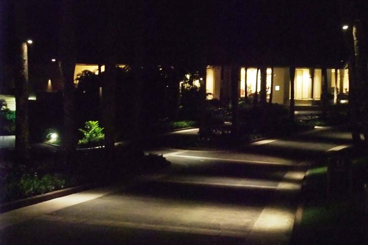 Tree-mounted L-011 Fixtures With Stainless Straps exterior lighting gallery