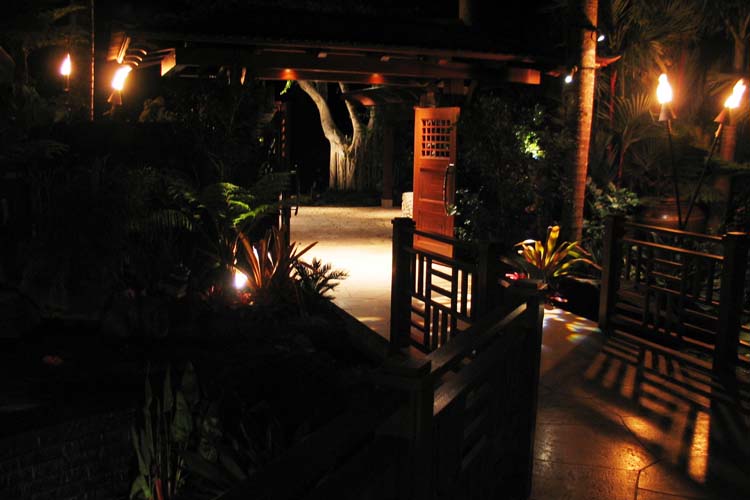 Uplighting Of A Tree exterior lighting gallery